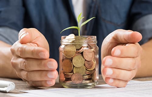 Investment Growth
